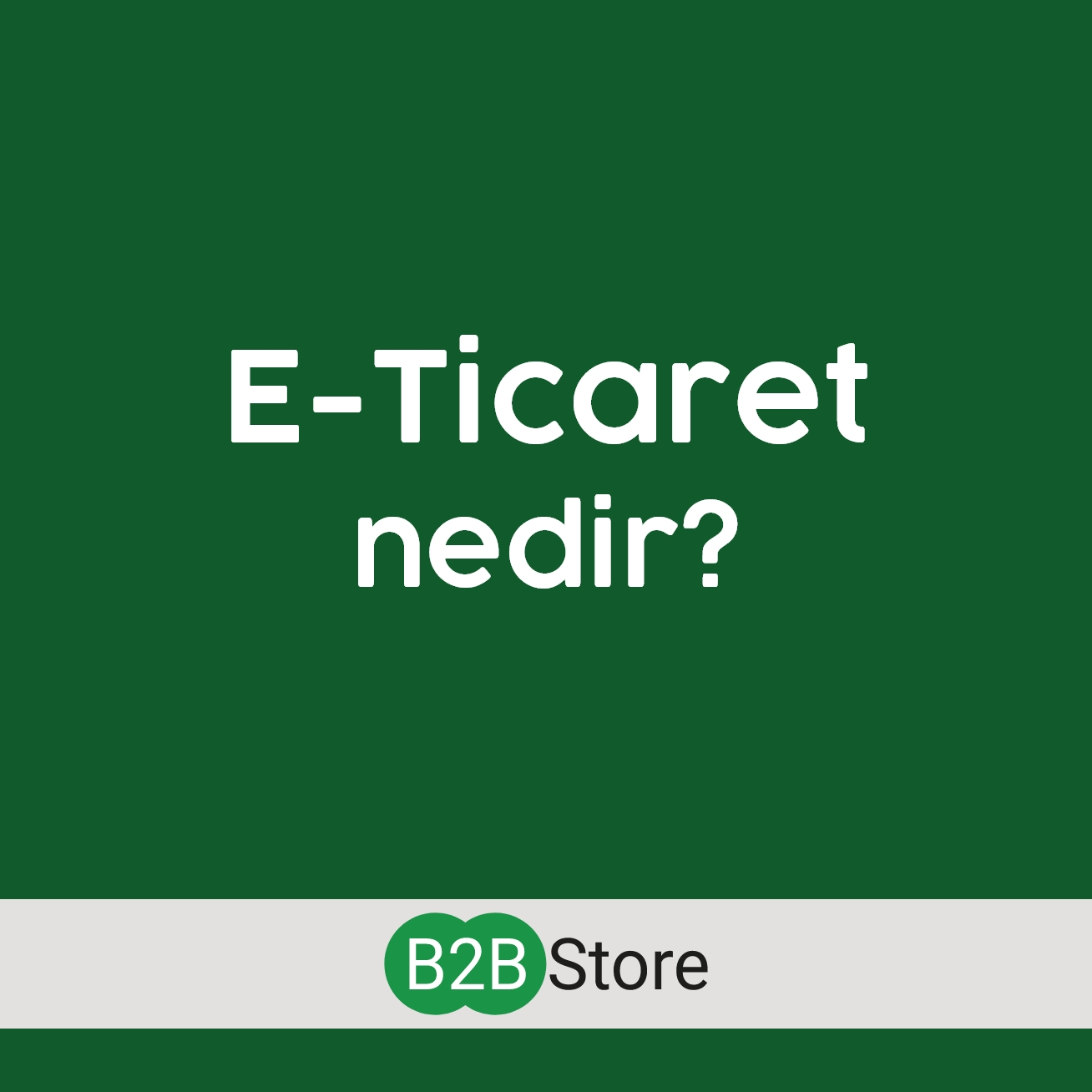 B2B Store E-Ticaret Nedir?
