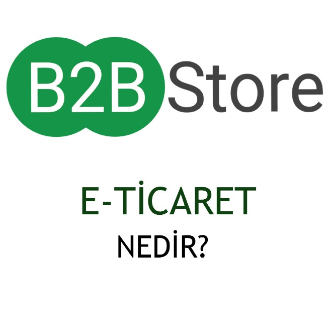 B2B Store E-Ticaret Nedir?