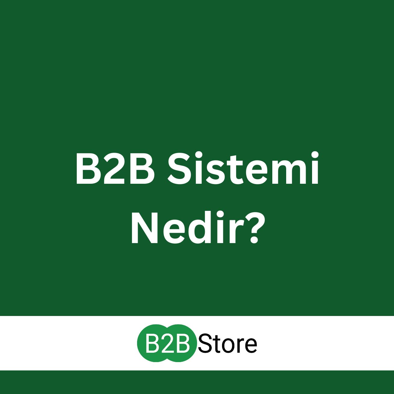 B2B Store B2B Sistemi Nedir?
